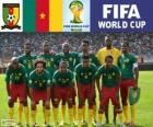 Выбор Камерун, Группа A, Бразилия 2014